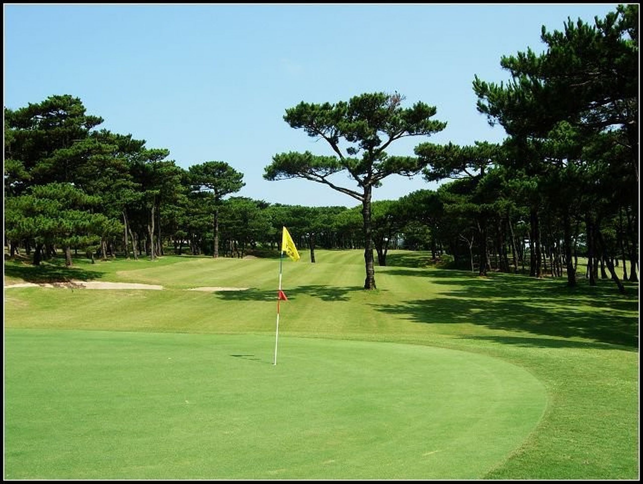 Adt Course Yeangder Group create more playing opportunities with Ambassador ADT